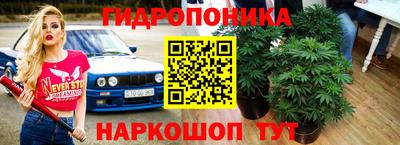 ПСИЛОЦИБИНОВЫЕ ГРИБЫ Рязань